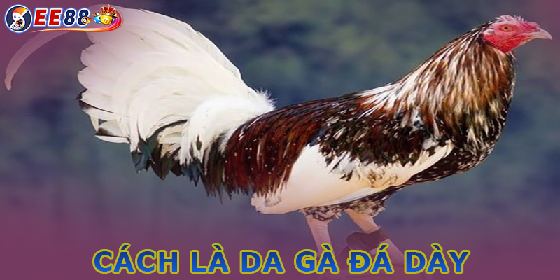 Cách làm da gà đá dày - Kinh nghiệm từ dân gian