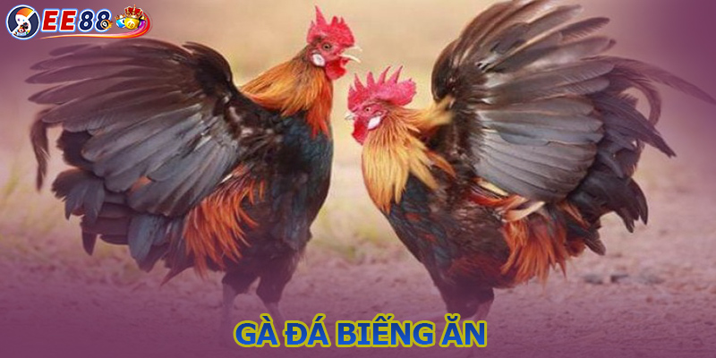 Gà đá biếng ăn - Nguyên nhân và cách chữa hiệu quả tại EE88