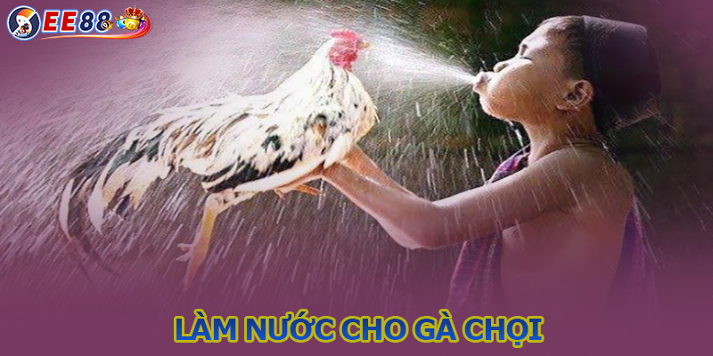 Làm nước gà đá - Phương pháp cực chuẩn và những lưu ý cần biết