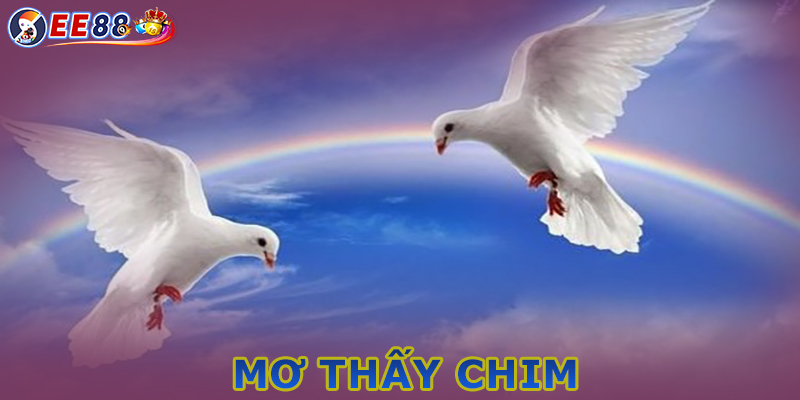 Mơ Thấy Chim - Bình Thường Hay Điềm Báo May Mắn