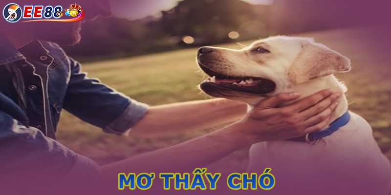 Điềm báo khi mơ thấy chó - Ý nghĩa con số theo từng giấc mơ