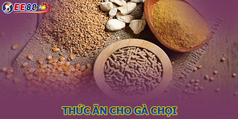 Thức ăn gà chọi - Cập nhật giai đoạn từ A đến Z từ sư kê